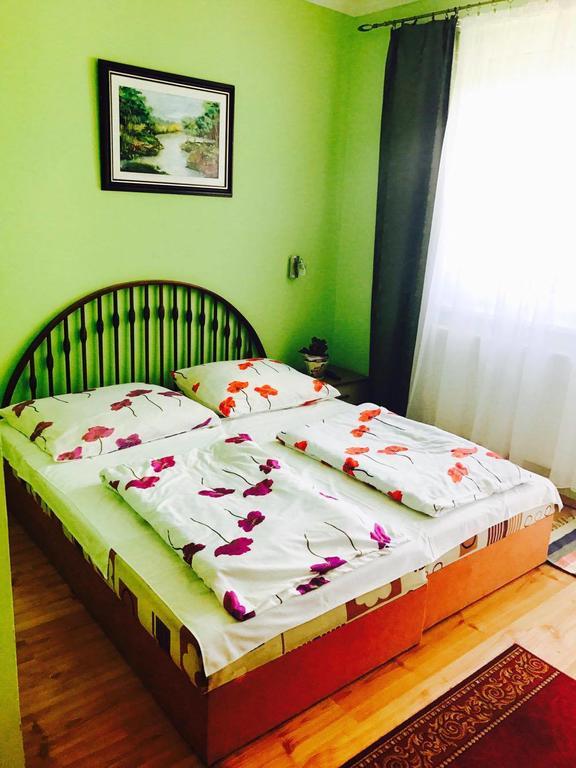 Liget Panzio Hotel Nyirbogdany Luaran gambar